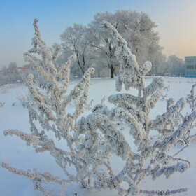 �������