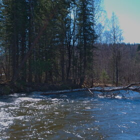 �������