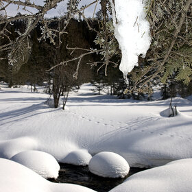 ���������� �� �����������