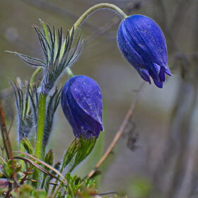 �������