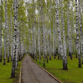 �������