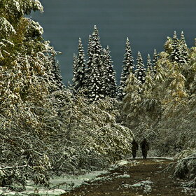 ���������� �� �����������