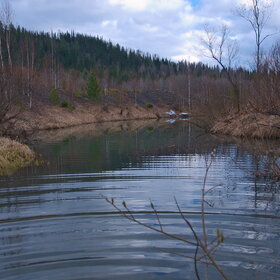 �������