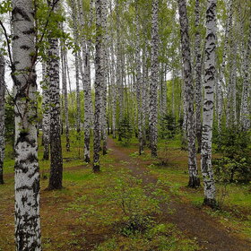 �������