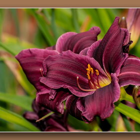 �������