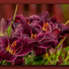 �������