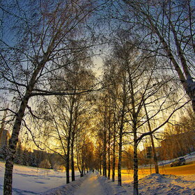 �������