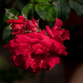 �������