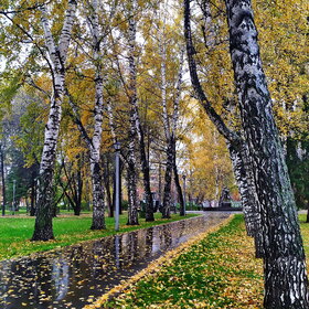 �������