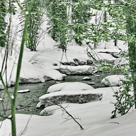 ���������� �� �����������