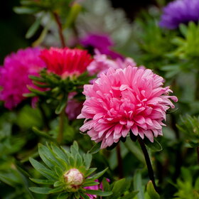 �������