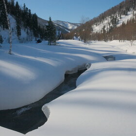 ���������� �� �����������