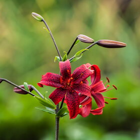 �������