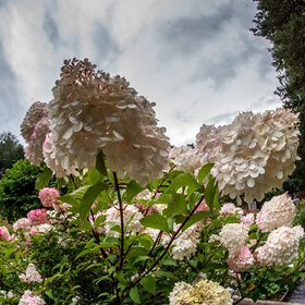 �������