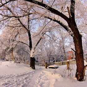 �������