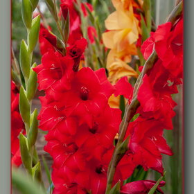 �������