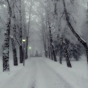 �������