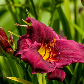 �������