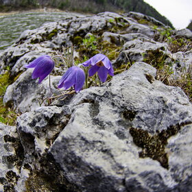 �������