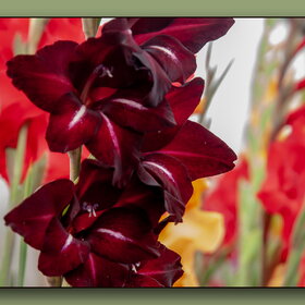 �������