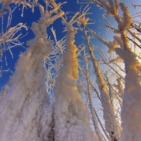 �������