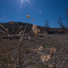 �������