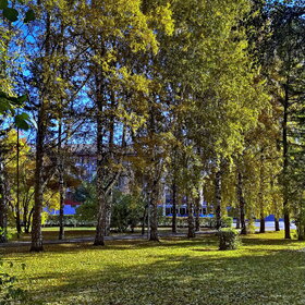 �������