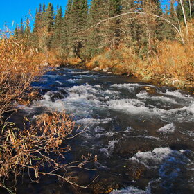 ���������� �� �����������