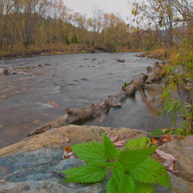 ���������� �� �����������