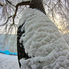 �������