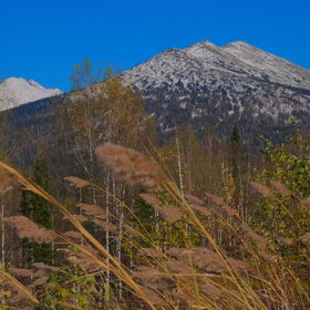 ���������� �� �����������