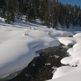 ���������� �� �����������