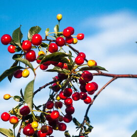 �������