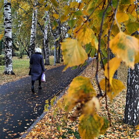 �������