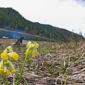 �������