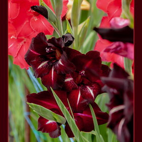 �������