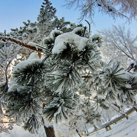 �������