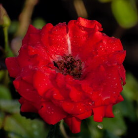 �������