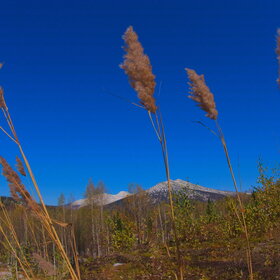 ���������� �� �����������