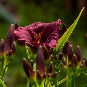 �������