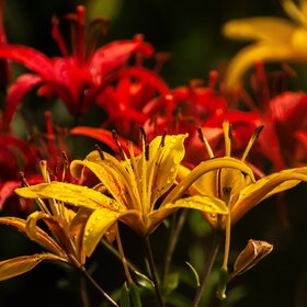 �������