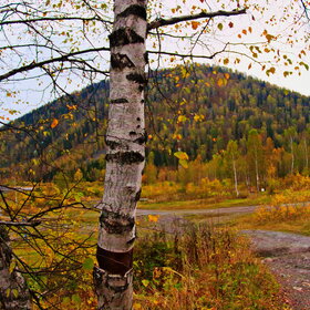 ���������� �� �����������