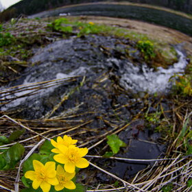 �������