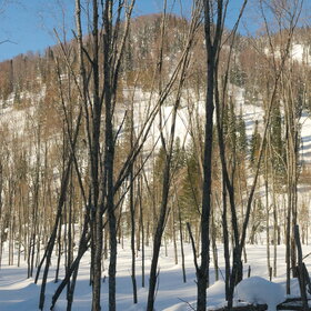 ���������� �� �����������