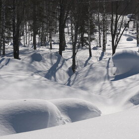 ���������� �� �����������