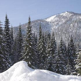 ���������� �� �����������