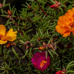 �������