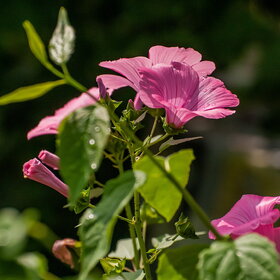 �������