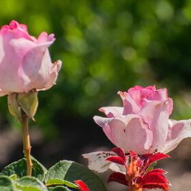 �������