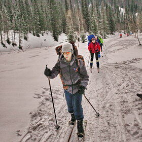 �����������